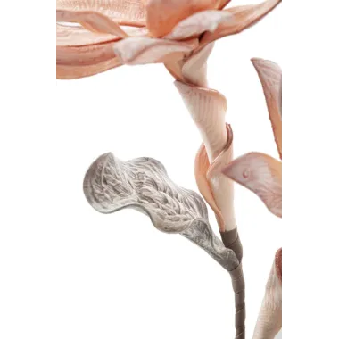 GLSANG FLOWER X2 Pomarańczowy Ø 28X88 cm min 12